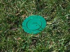 10  Green Subterraneantermite In-ground Sticks Stations Diy