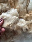Baby Red Super Nice Handspinning Angora Fiber Raw Spinning 6 Oz