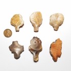 Lot Of 6 Aterian Arrowheads Neanderthal Morrocco African Artifact 50 000 Bc
