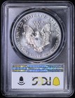 1988 American Silver Eagle  1 Pcgs Ms 69
