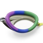 Speedo Unisex-adult Swim Goggles Mirrored Vanquisher 2 0