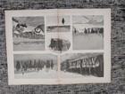 1896 Remington Leadville Strike Front Page Colorado Silver Miners Strike Dec 12