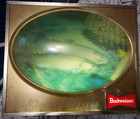 Rare Vintage Budweiser Beer Lighted Bubble Dome Sign With Fishing Theme 18 X 15