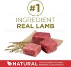 Purina One Chicken And Rice Formula Dry Dog Food 31 1 Lbs 