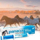 1-10pcs Panacur  Equine Paste Horse-dewormer 25 Grams- 
