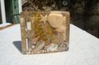 Vtg Mcm Lucite Egg Timer Abalone Sea Shell Sand Ocean Beach Decor 3 Minutes