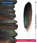 10  Pcs Long Pheasant Feathers Natural Pheasant Feathers Floral Arrangeme   