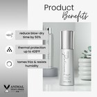 Kenra Platinum Blow-dry Spray   Time-saving Heat Protectant   Detangles 