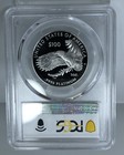 2022-w  100 Platinum Eagle Freedom Of Speech Pr 70 Dcam Pcgs Advanced Proof 1 Oz