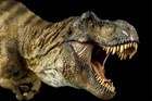 Dino Dream 2025 1 30 Size Tyrannosaurus Figure Full Body 40cm Class Cretaceous T
