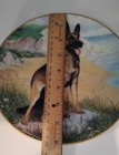 Danbury Mint Vintage German Shepherd Dog Collector Plate Coast Guard Coa C6655