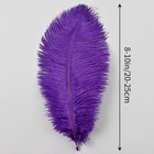 Purple Ostrich Feathers 12pcs Natural Bulk 8-10inch 20cm-25cm For Crafts Wedding