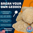Jumbo Break Your Own Geodes Kit     2 Natural Geodes 4 5 To 5 5  Inches - Magni
