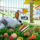 Rabbit Toys Guinea Pig Toys Hamster Toys Bunny Toys Natural Timothy Hay Sticks A