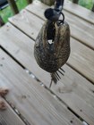 Something Smells Fishy  Vintage Fish Bone Unique Windchime  nice Patina  