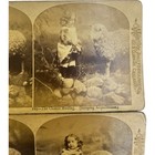 Antique Stereoscope Stereoscopic Card Melander   Bro  Chicago  119-30 Sheep Girl