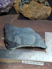 Leland Blue Slag Stone Glass Michigan Gem      Leelanu Collectable Rock Polished 