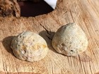 Natural Agate Geode Pair  Beautiful Polished Small Brazilian Agate Geode 22g