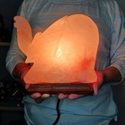 Xl Himalayan Salt Lamp Elephant Large Orange Night Light Natural Salt Stone 6 Lb