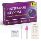 At-home Ebv Test Kit   Igg Vca   Ebna Detection   15-minute Rapid Results   Easy