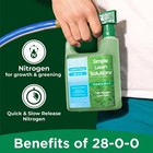 Maximum Green   Growth Fertilizer High Nitrogen 28-0-0 Liquid Lawn Food Spray   