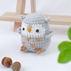 Cute Gray Owl Crochet Amigurumi  Handmade Bird Figure  Animal Gift