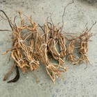 Natural Driftwood Aquarium Root Trunk Tree Fish Tank Landscape Plants Wood Root