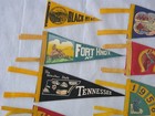Vintage 1950s Usa Felt Pennants  Lot Of 11 - State Parks - Zoo - 10 Med 1 Small
