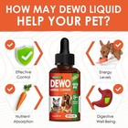 Tapeworm Cleanse For Cats And Kittens Dogs Pet Dewormer Supplement Pumpkin Seeds