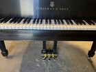 Steinway M Grand Piano - Meticulous - 12 Month 0  Financing
