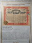 Rare 1922 Stock Certificate Co-operative Petroleum Syndicate Los Angeles  Ca