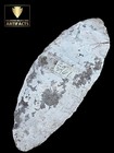 Big 4 9 16  Missouri Blade