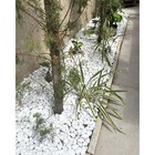 10 Lb White Premium Pebbles 1-2 Inch  Landscaping Rocks  Garden Decor Stones