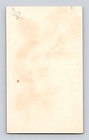 Victorian Trade Card Central House Plans Wild Rose Butterfly Taunton Ma Kelley