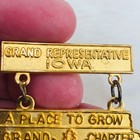 Iowa Order Of The Eastern Star Grand Chapter Representative Member Badge Pin