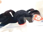 Ty Beanie Baby Rare 3rd 1st Gen Web German Tags Tbb Authenticated Mwmt-mq