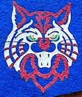 Vintage 1970s University Of Arizona Wildcats Football Pennant  Wow 