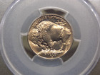 1913  s  Indian Head Buffalo Nickel  type 1  5c Pcgs Ms64  385 Bu Unc Ecc c  Inc