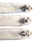 Grey Fleck Ranched Mink Pelt  Very Pretty