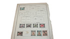 Nyassa Gorgeous Lot Of Early Stamps For Scott Brown Albums Stuck