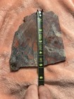 Jasper Agate Rough Cut Slab  5 Inches Beautiful Reds Lapidary Free Ship H3