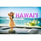 Hawaiian Dashboard Small 4  Posing Hula Girl Doll For Your Car From Maui  Hawaii
