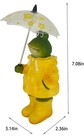 Frog With Umbrella