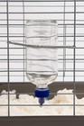 Glass Water Bottles For Rabbits  Ferrets  Small Birds  Guinea Pigs  Rats  Ham   