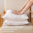  22x22 Throw Pillows Inserts  2 Pack Square Decorative 22 X 22  2 Packs 