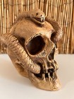 Vintage Randotti  snake Skull  Glows In The Dark   891  Dotti Smith Dated 1966