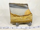 Old Stock Owyhee Shadow Mountain Picture Jasper Slab  Lot 372