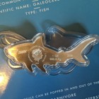 2020 1 Oz  Silver Coin Tiger Shark Pamp Hunters Of The Deep Collection W  Toning