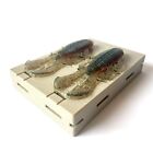 Soft Plasti   Mold Fishing Lures 2 Cavity Googan Bandito Bug 4  