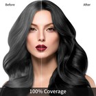 Black Hair Dye Shampoo For Gray Coverage  3 In 1 Herbal Instant Color With 100 
